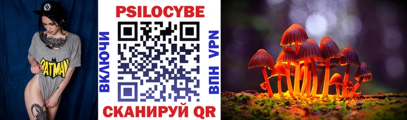 Псилоцибиновые грибы мицелий  blacksprut как зайти  Волоколамск 